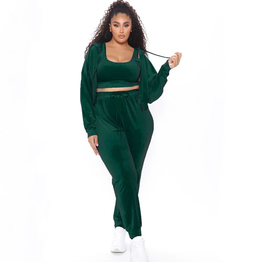 Women Plus Size 3 Piece Velvet Suit